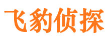 安多市侦探调查公司